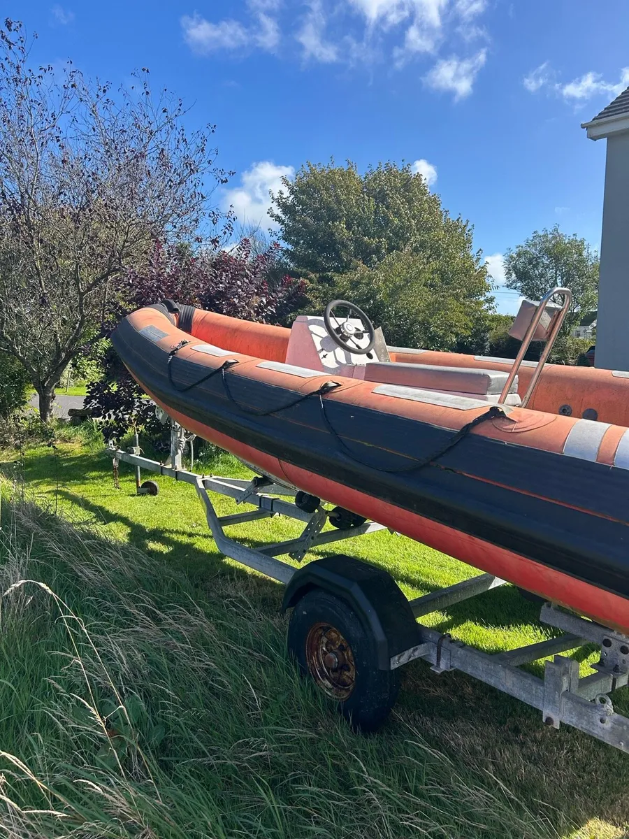 Rib - Image 2