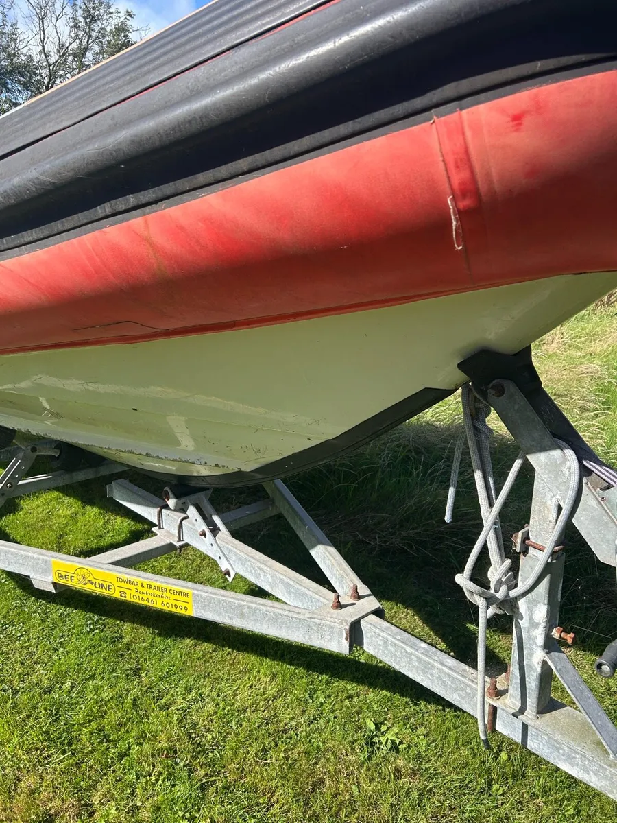 Rib - Image 3