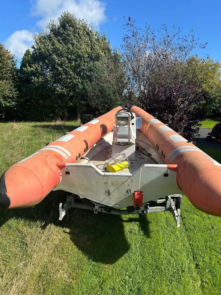 Rib - Image 4
