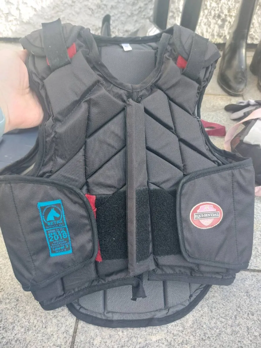 Body protector - Image 1