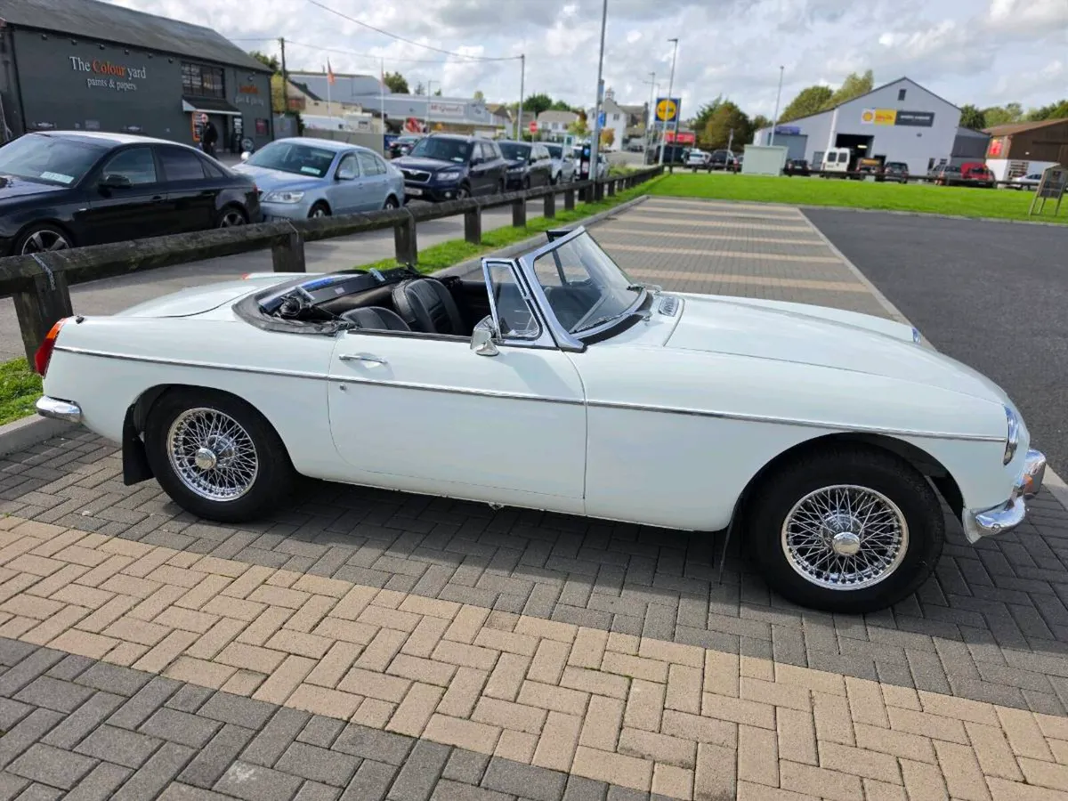 Mg - Image 2