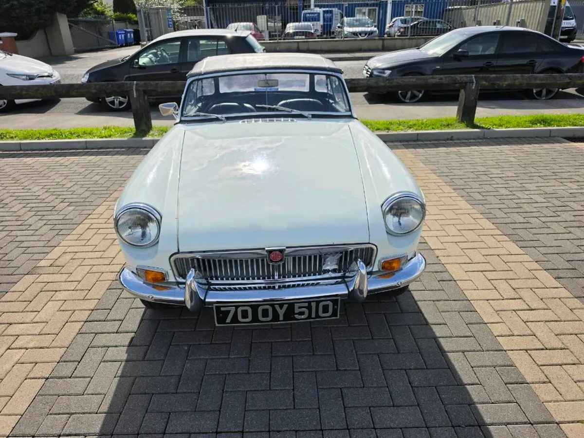 Mg - Image 4