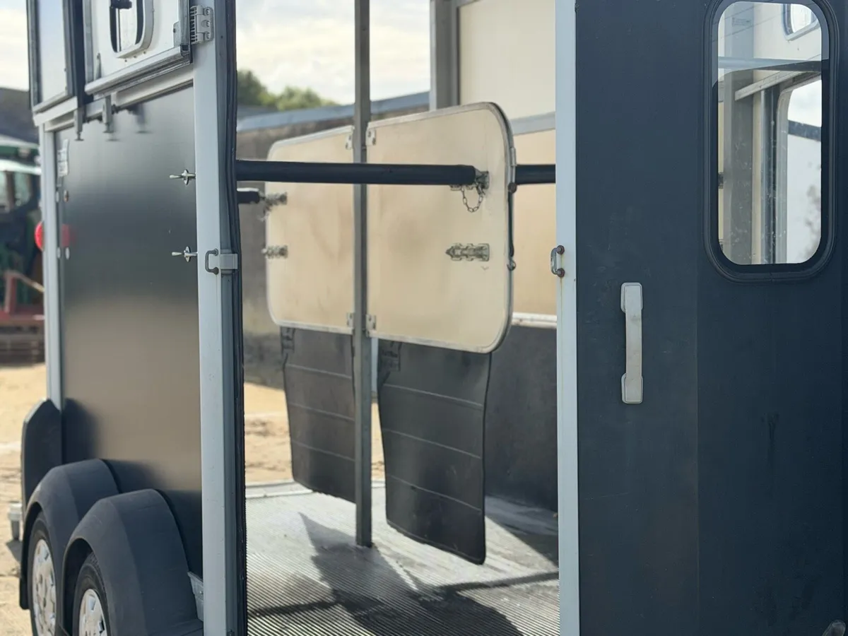 506hbx horses trailer - Image 4