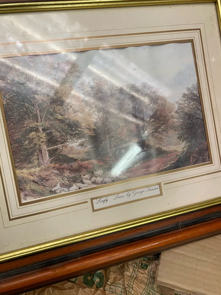 Picture - Image 1