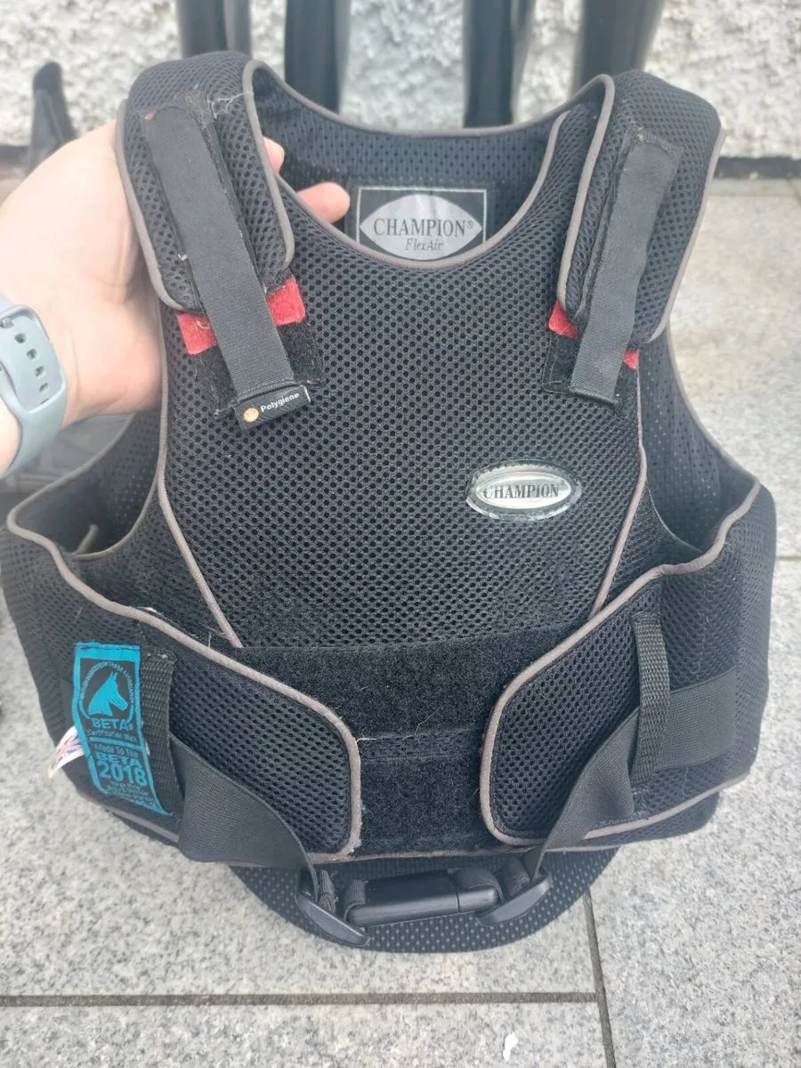 Body protector - Image 1