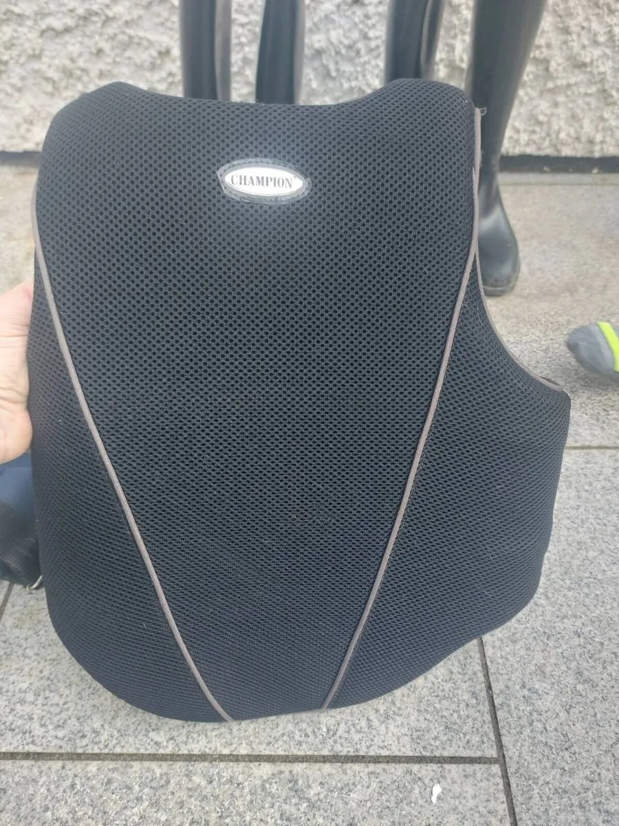 Body protector - Image 2