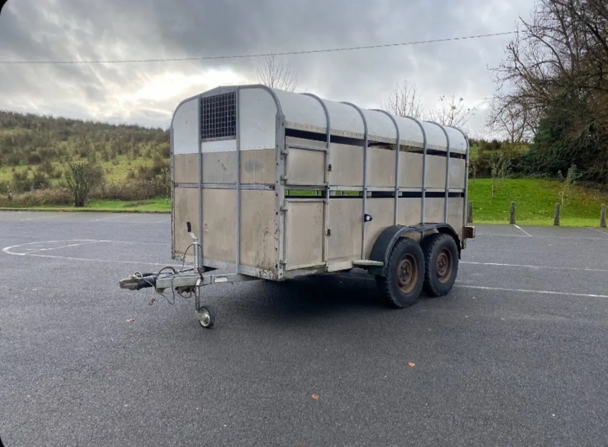 12 by 6 Nugent cattle trailer - Image 1