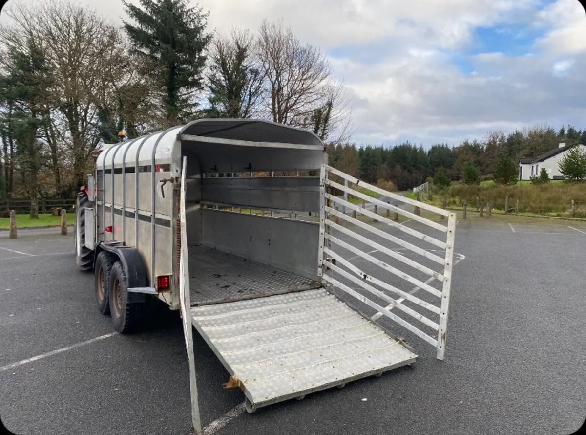 12 by 6 Nugent cattle trailer - Image 2