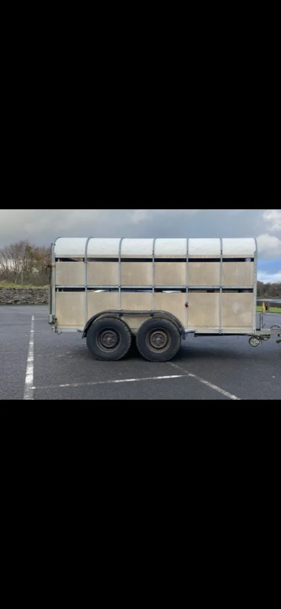 12 by 6 Nugent cattle trailer - Image 4
