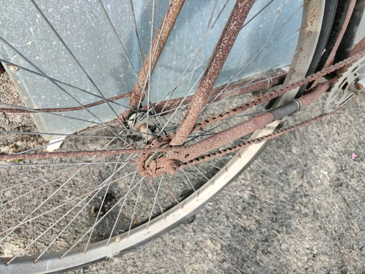 Vintage bike - Image 3