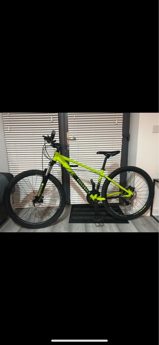 Ridgeback bicycle - Image 1