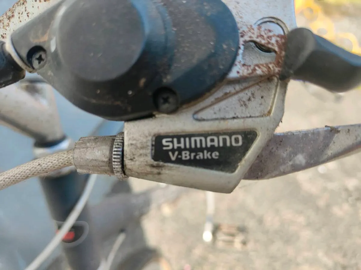 Ridgeback bikes - Image 4