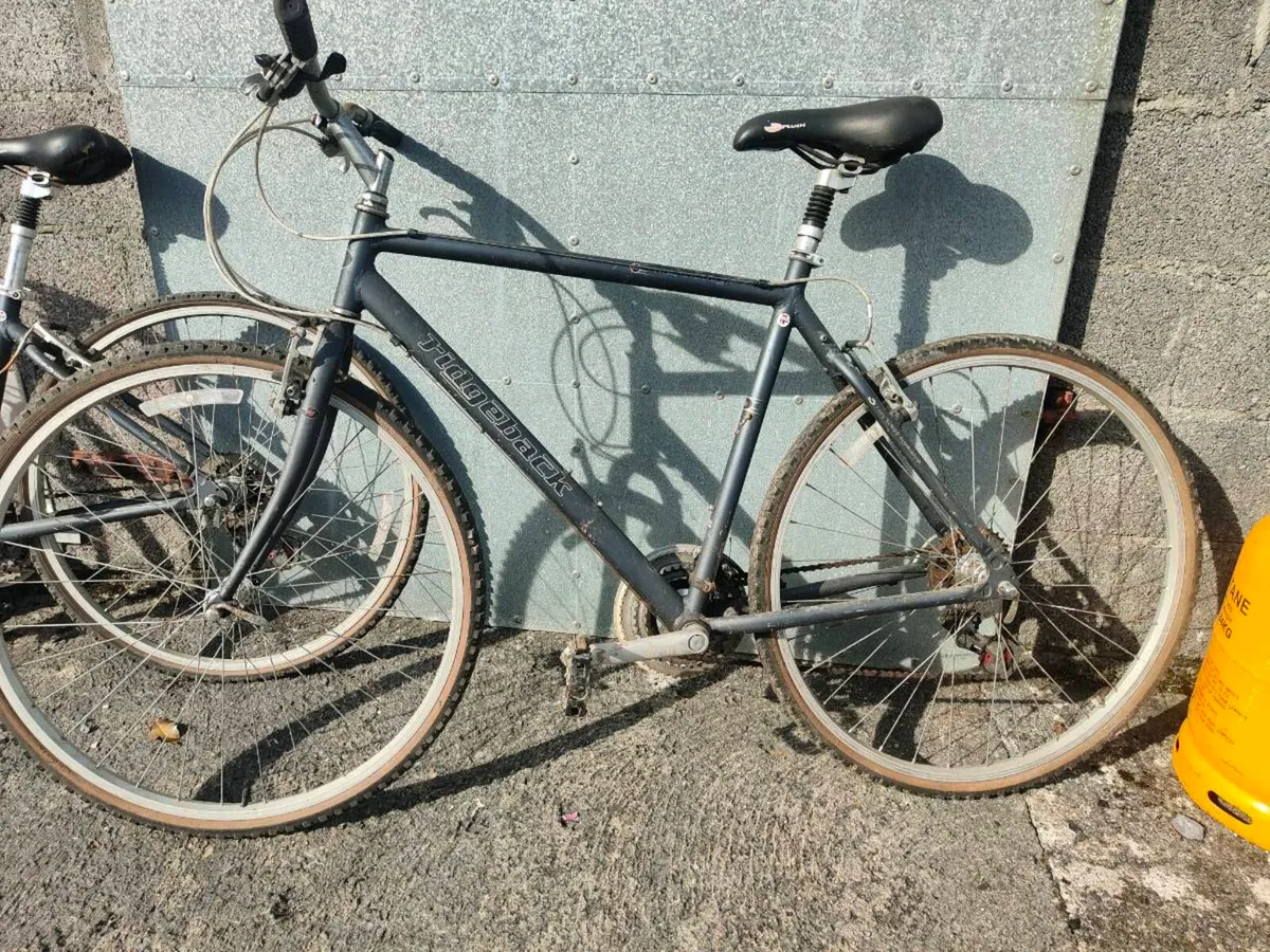 Ridgeback bikes - Image 1