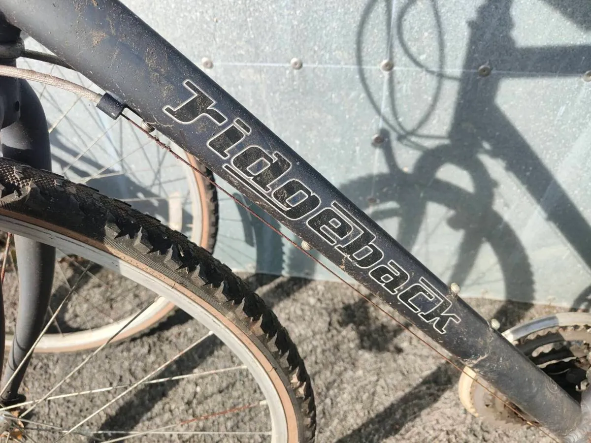 Ridgeback bikes - Image 2