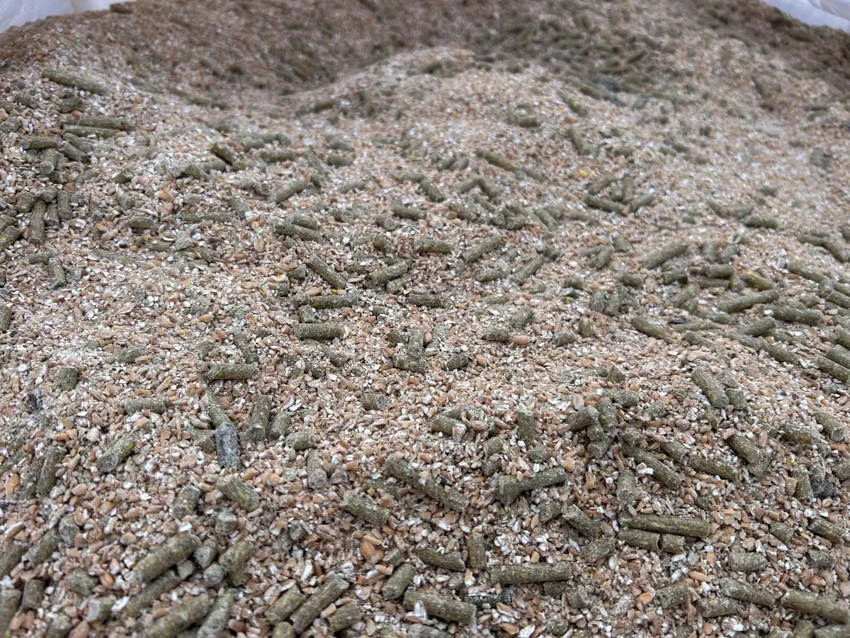 Organic animal feed - Image 4