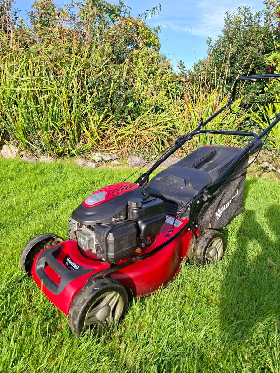 Lawnmower - Image 1