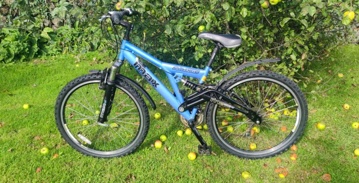 Raleigh bike - Image 1