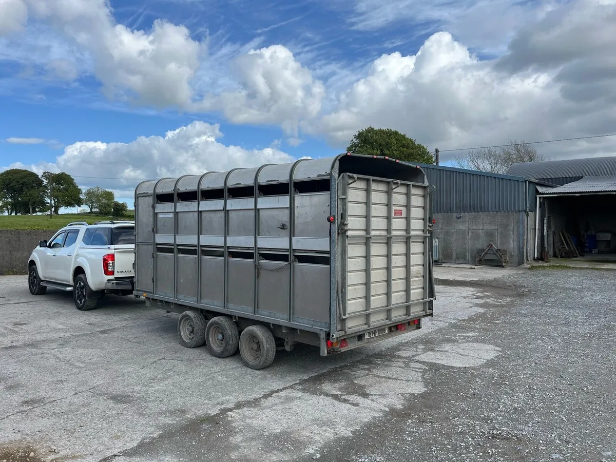 14 foot ifor Williams - Image 4