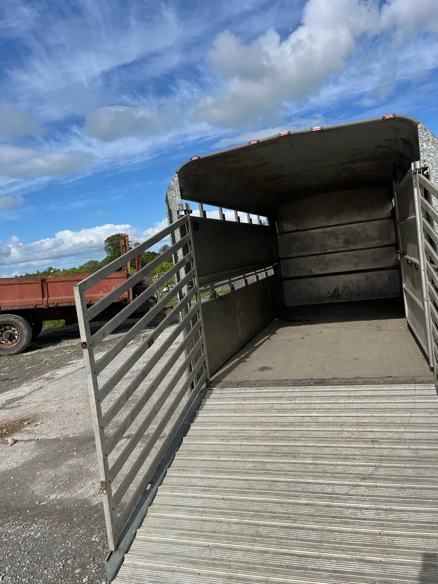 14 foot ifor Williams - Image 2
