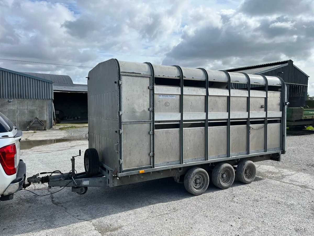 14 foot ifor Williams - Image 1