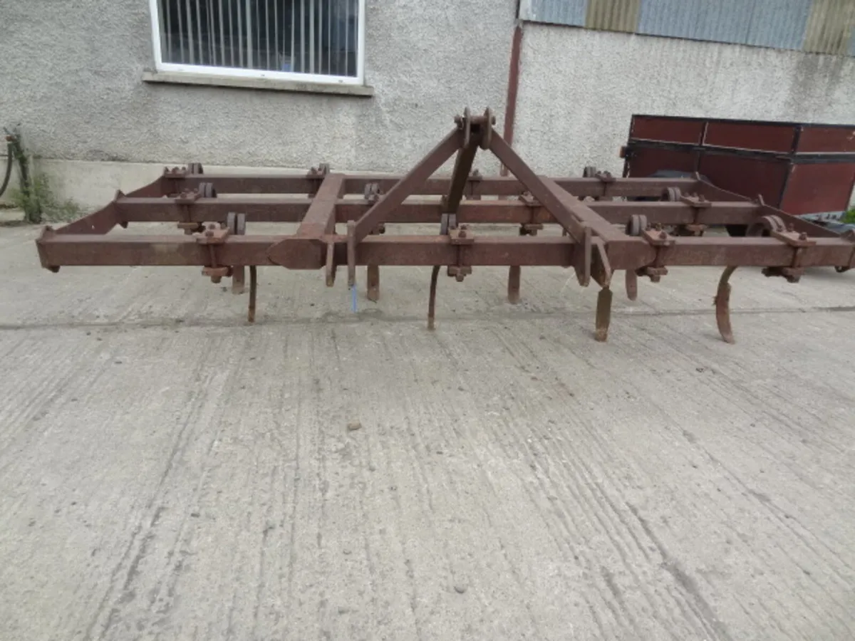 3 Metre Pigtail Springtine Grubber - Image 4