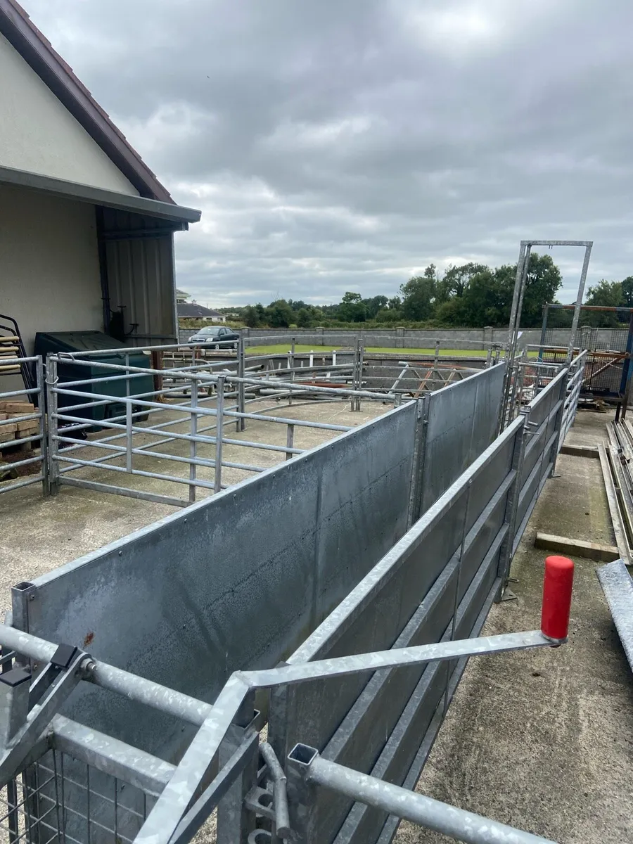 Sheep race and penning, scales, crate, creep - Image 2