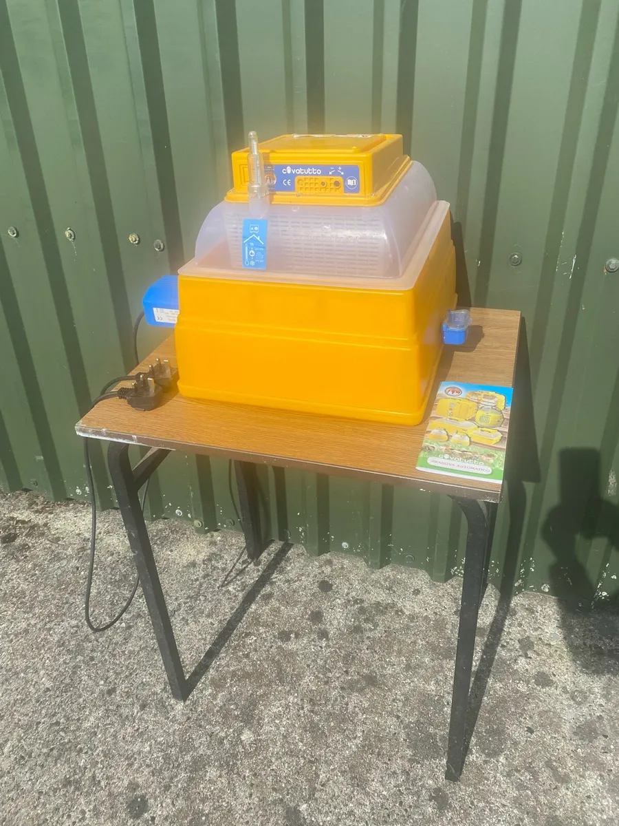Incubators - Image 2