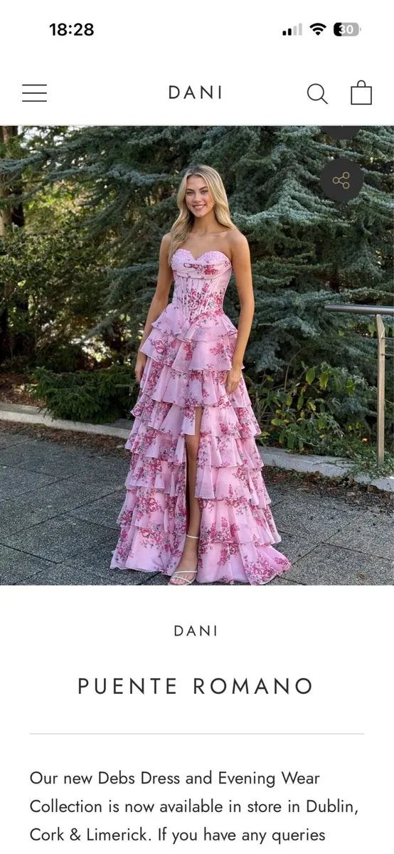 Debs Dress - Image 1