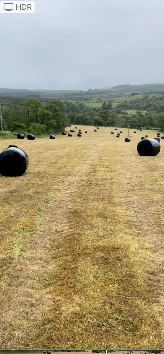 Round bales - Image 1