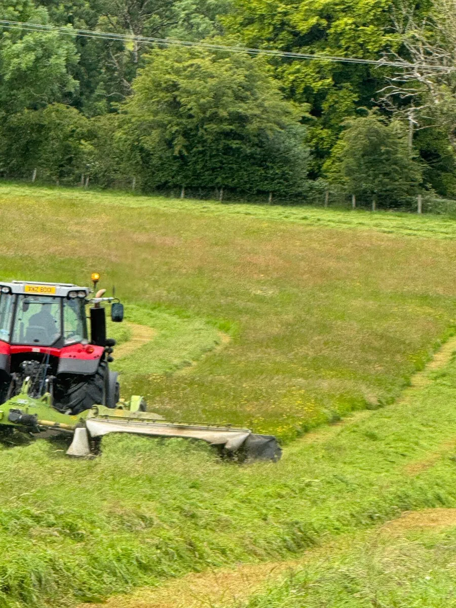 Round bales - Image 3