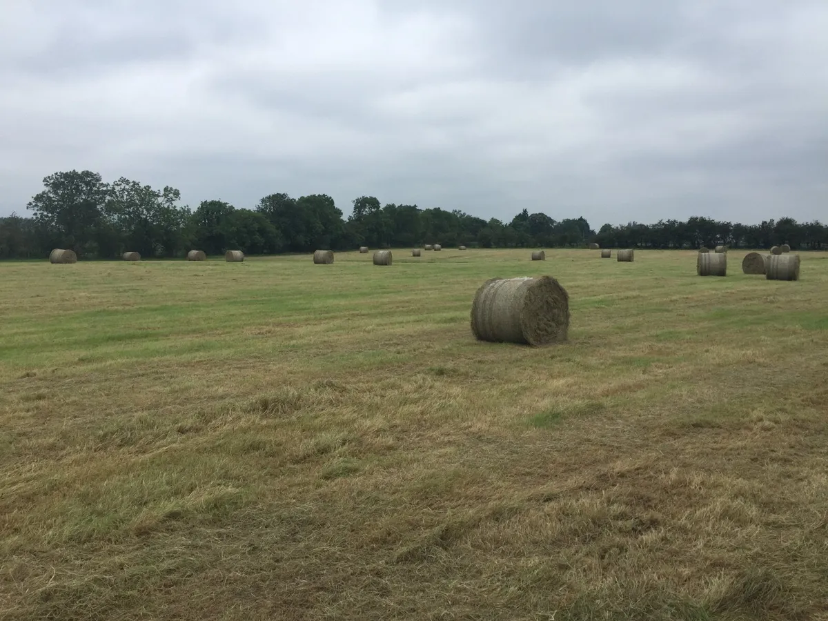 Round bales - Image 4