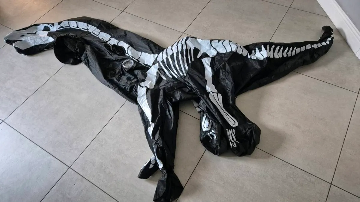 Skeleton dinosaur costume - Image 2