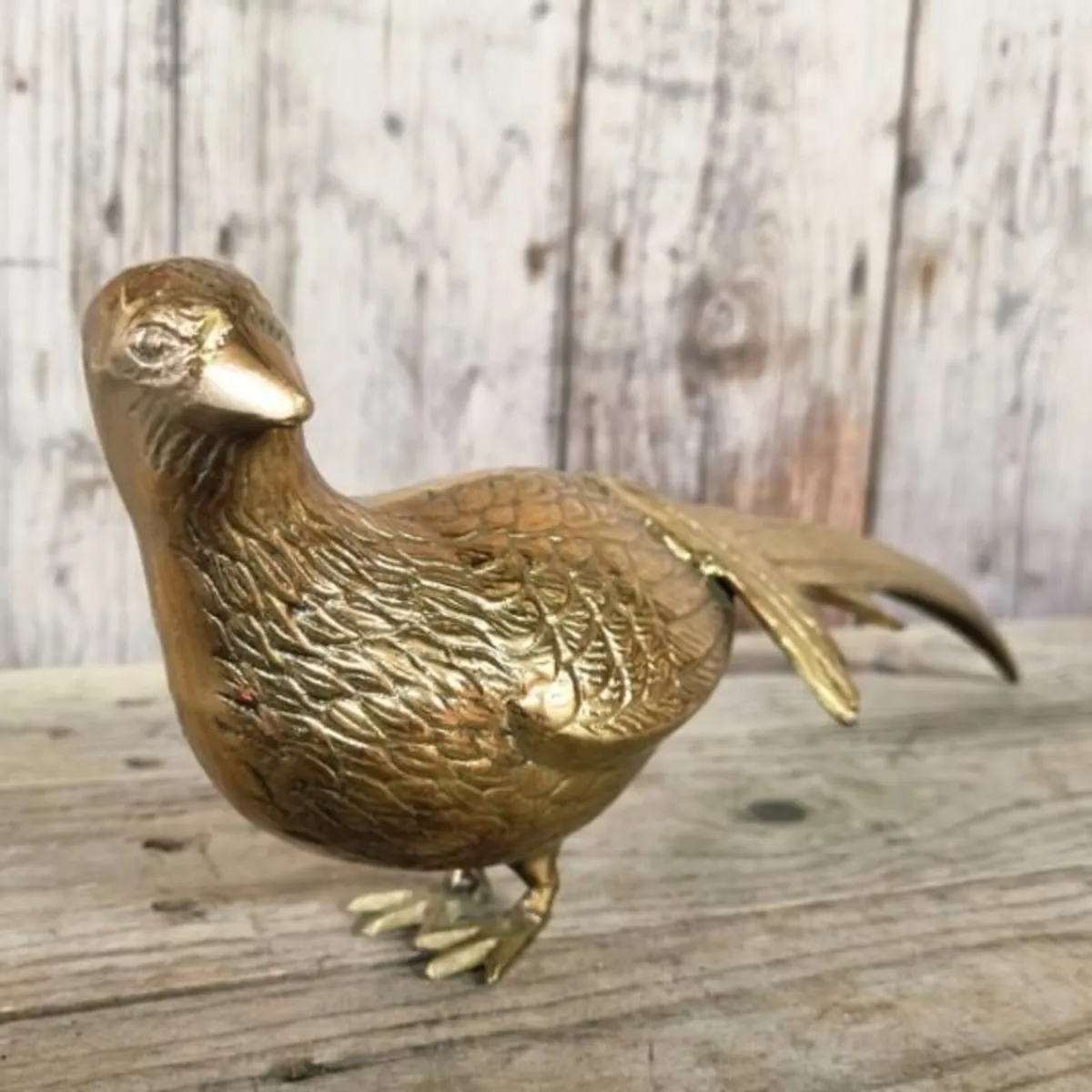 Pheasant Brass KAS1362 - Image 3