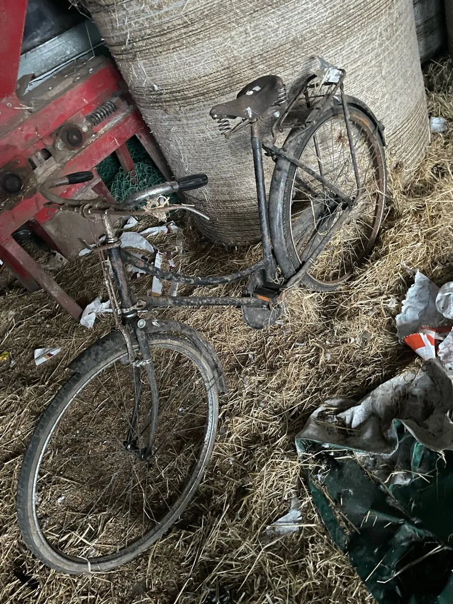 Bikes - Image 2