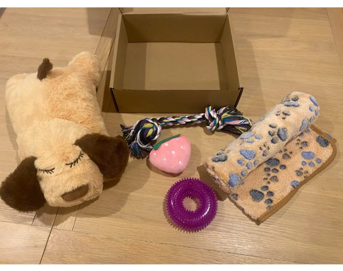 Puppy Starter Kit - Image 3