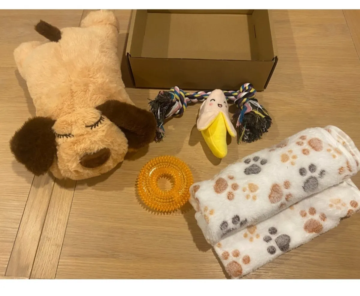 Puppy Starter Kit - Image 4