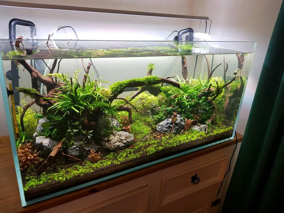 Optiwhite tank and equipment - Image 1