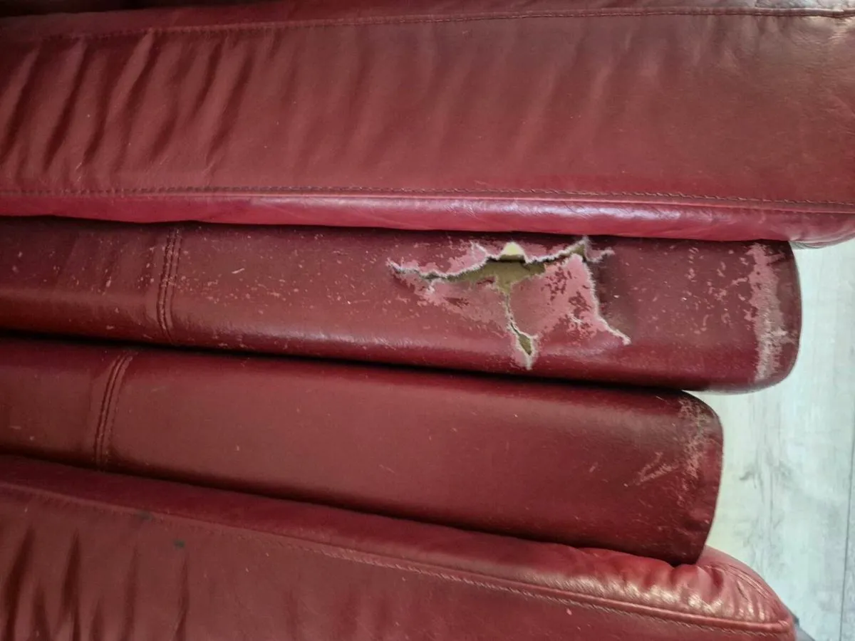 Couch - Image 2