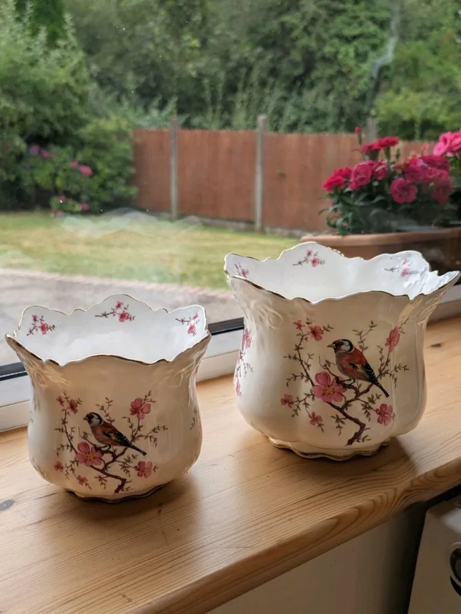 Bone China Flower Pots - Image 1