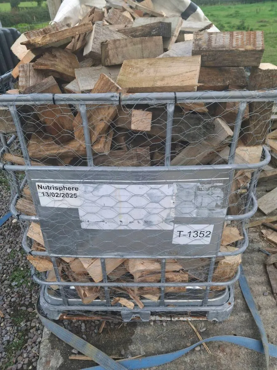 Timber - Image 1