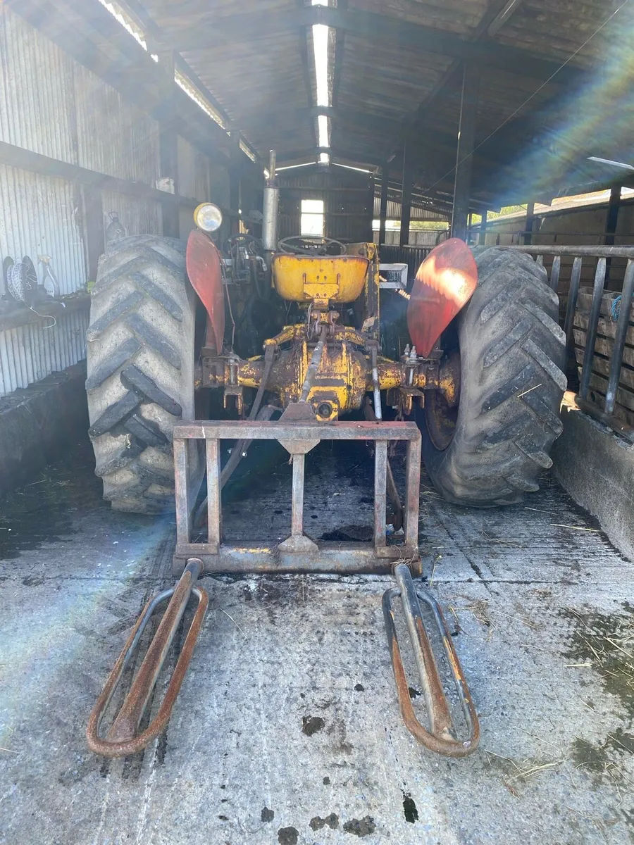 Massey 35 Industrial - Image 3