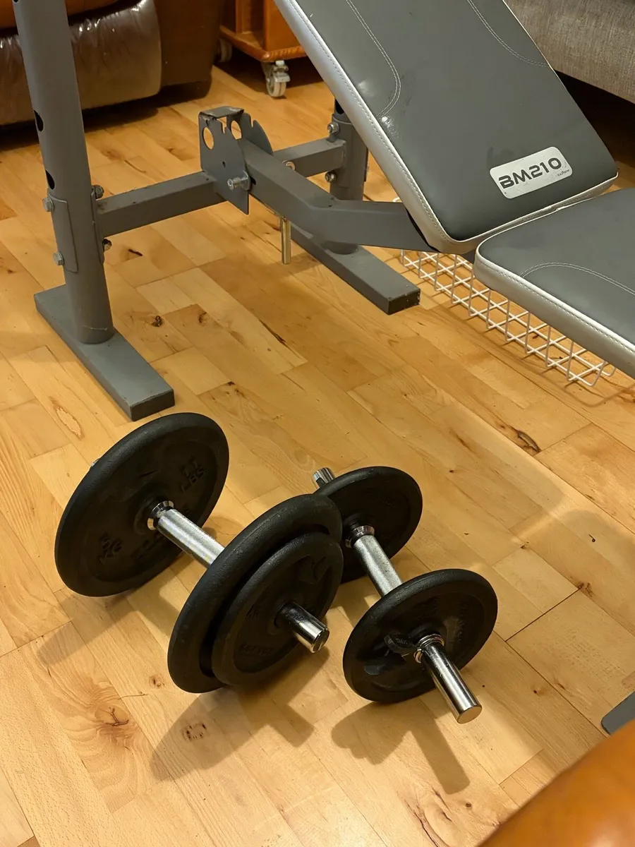 Adjustable Weight Bench & Complete Home Gym Set - Image 4