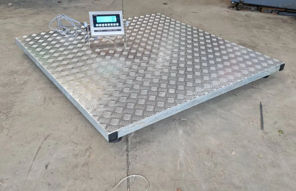 Pallet Scales 3t