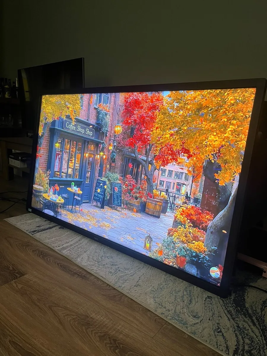 NEC E651-T Touchscreen Monitor - Image 1