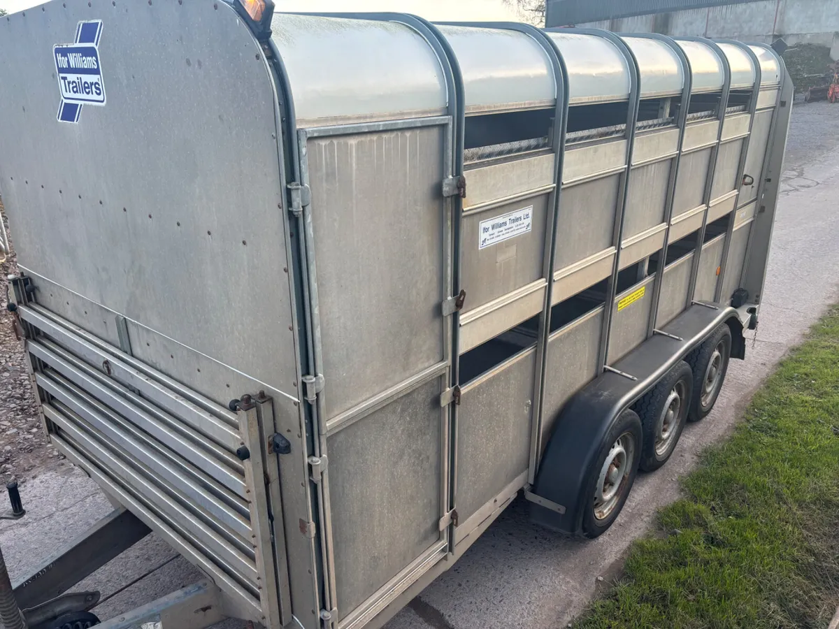 Ifor Williams 14ft x 6ft Tri axle cattle trailer - Image 1