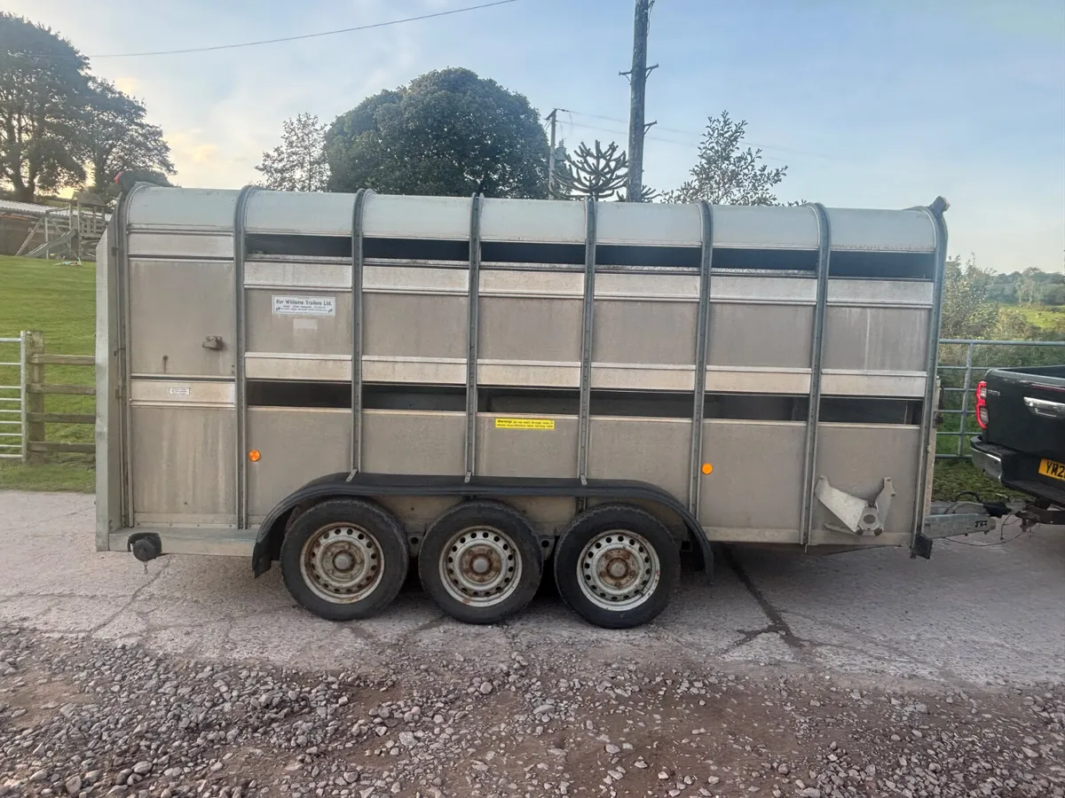 Ifor Williams 14ft x 6ft Tri axle cattle trailer - Image 2