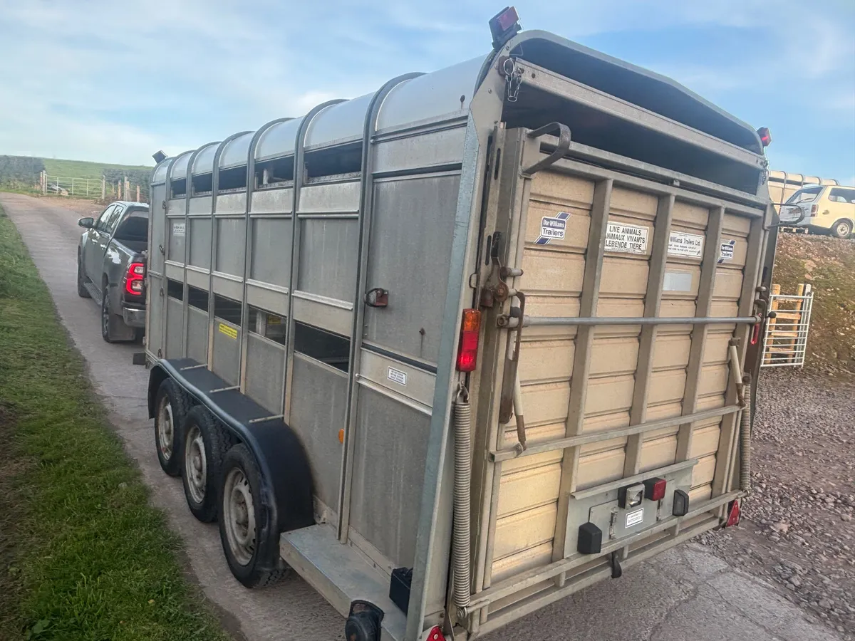 Ifor Williams 14ft x 6ft Tri axle cattle trailer - Image 4