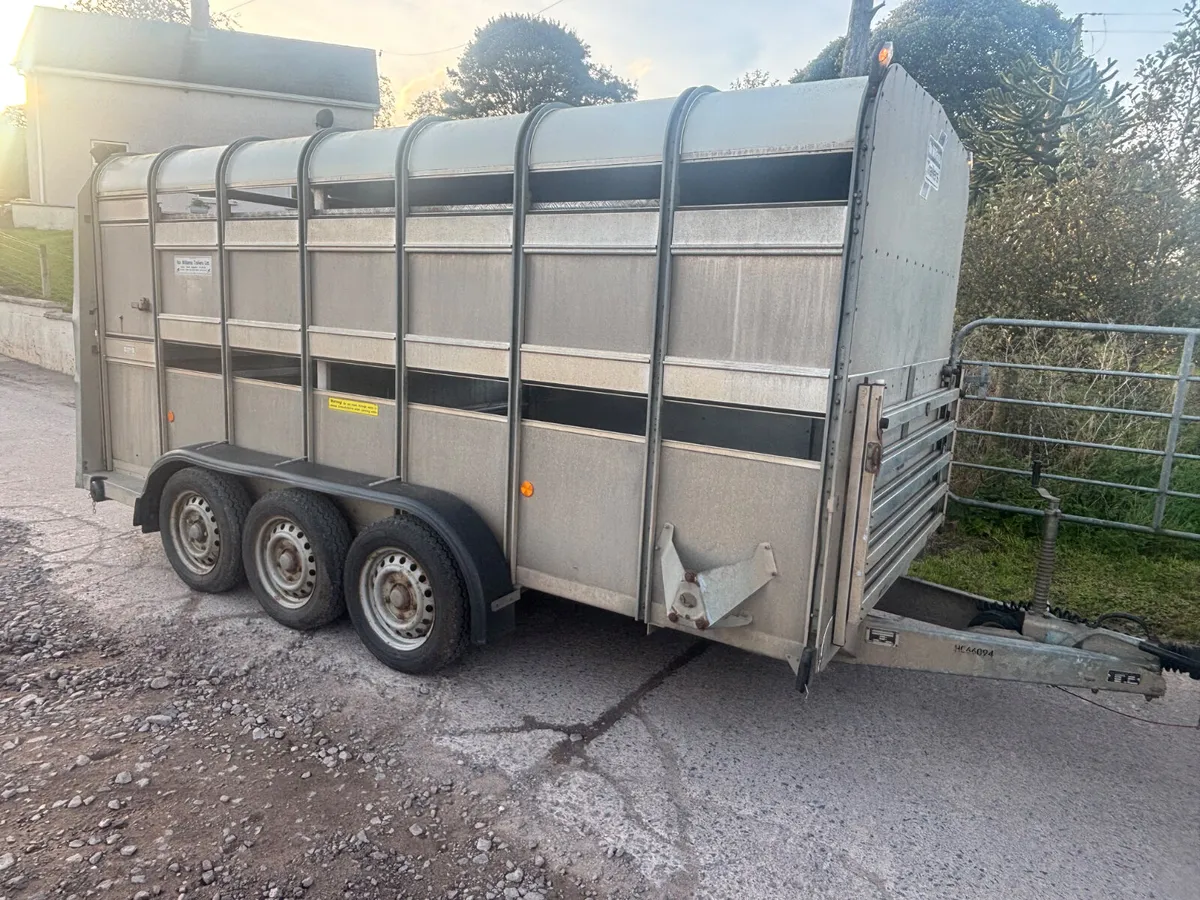 Ifor Williams 14ft x 6ft Tri axle cattle trailer - Image 3