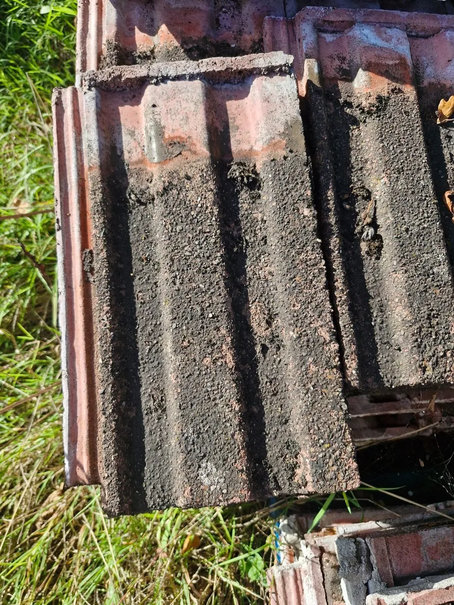 Roof tiles - Image 3