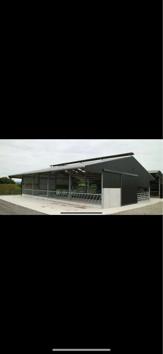 Slatted Shed/Cattle accommodation